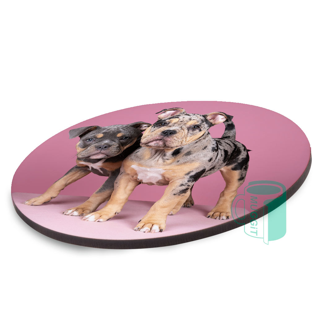 muggit_coaster_wood_round_9cm_coffee_coasterwoodmuggit9cmround muggit coaster wood round 9cm coffee coasterwoodmuggit9cmround 2